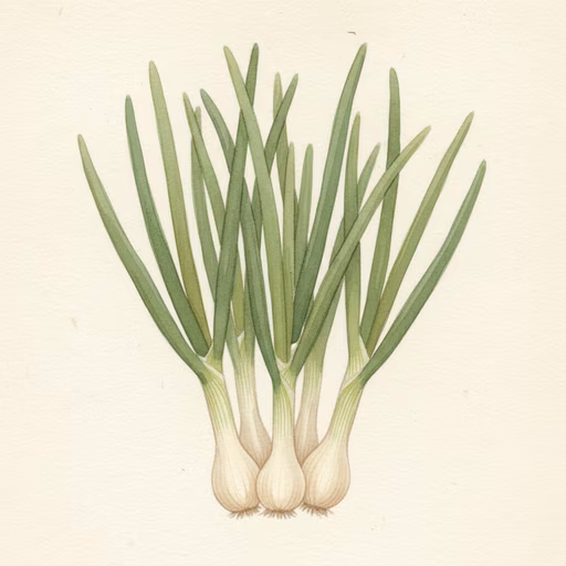 Evergreen Bunching
